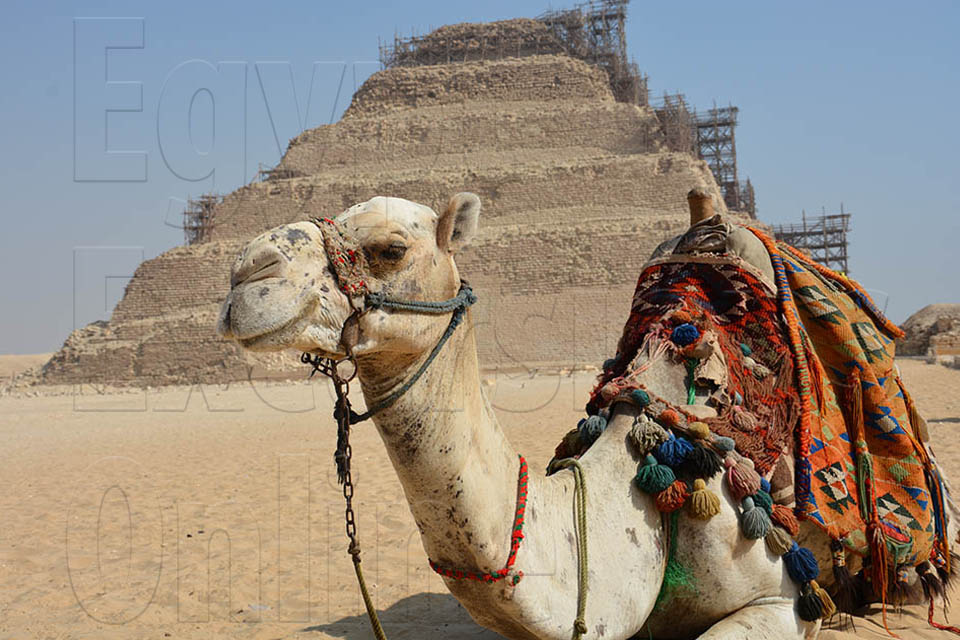 Full Day Tour to Pyramids, Memphis and Sakkara from Cairo