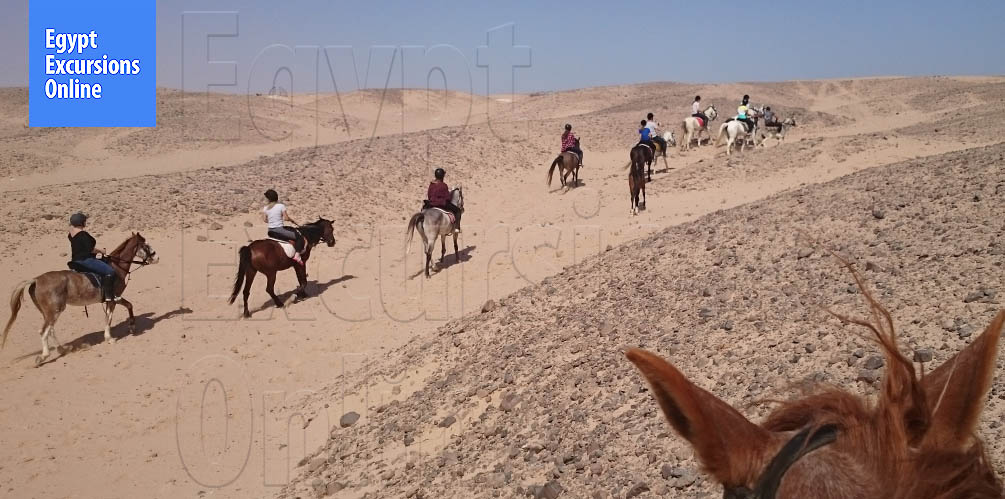 Hurghada Horse Riding Tour from El Gouna