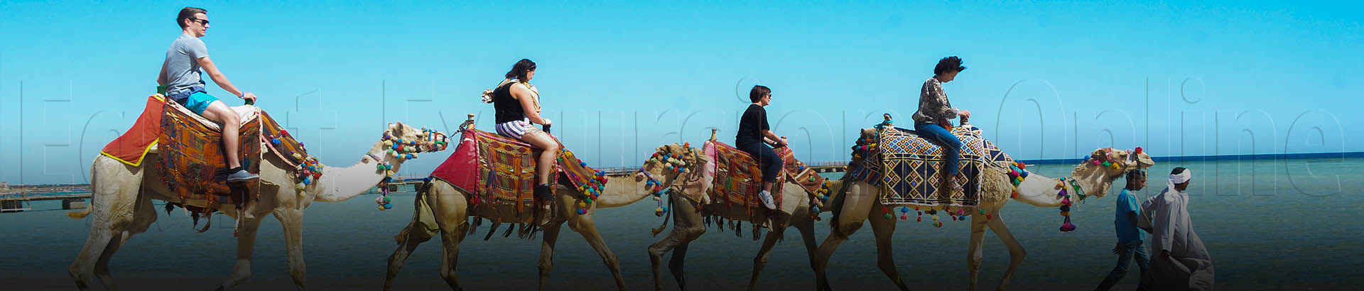 El Gouna Camel Ride Tour