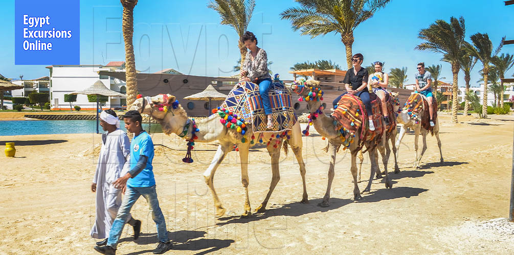 El Gouna Camel Ride Tour