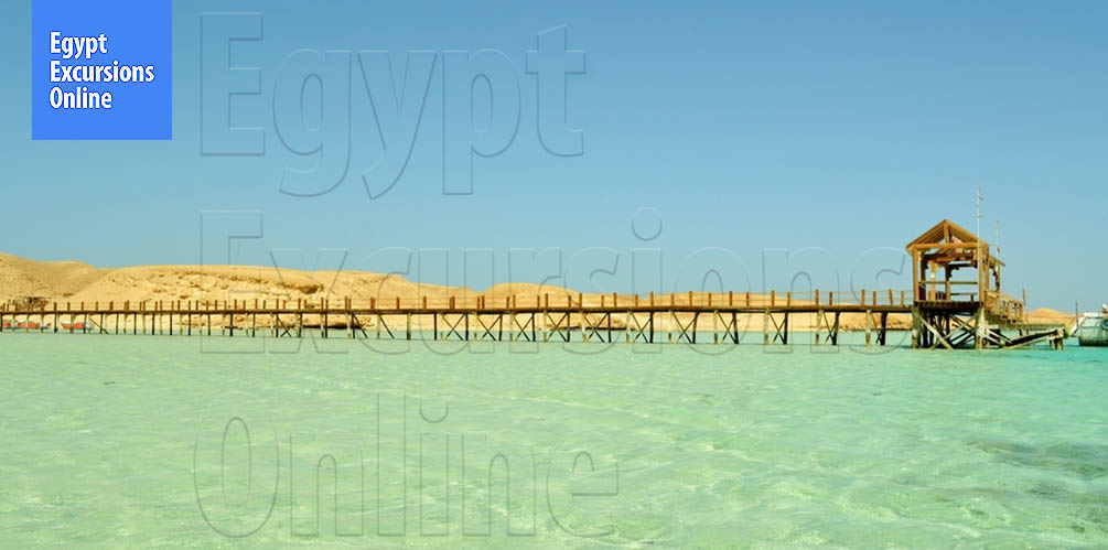 One Day Tour to Abu Dabbab National Park from El Gouna