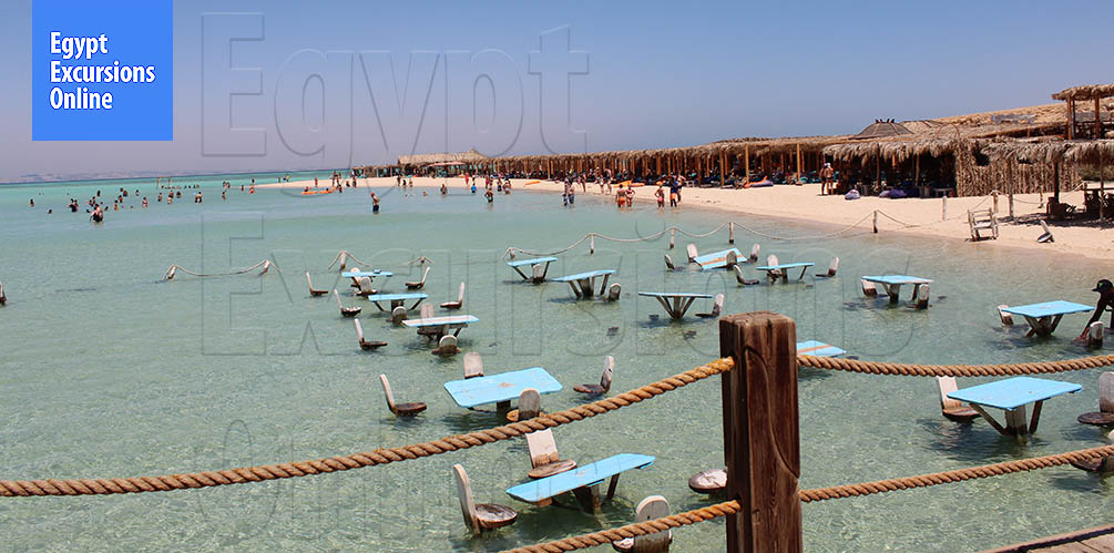 One Day Tour to Abu Dabbab National Park from El Gouna