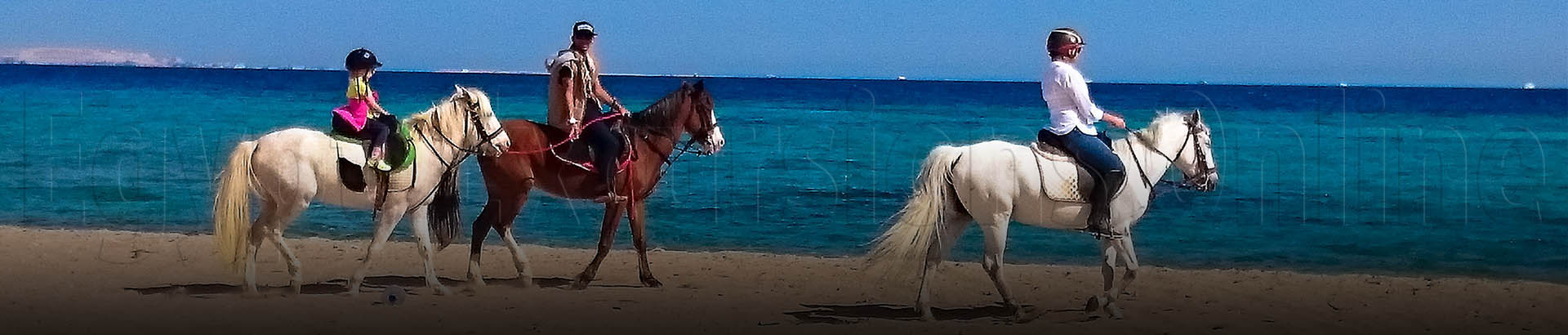 Hurghada Horse Riding 2-Hour Tour