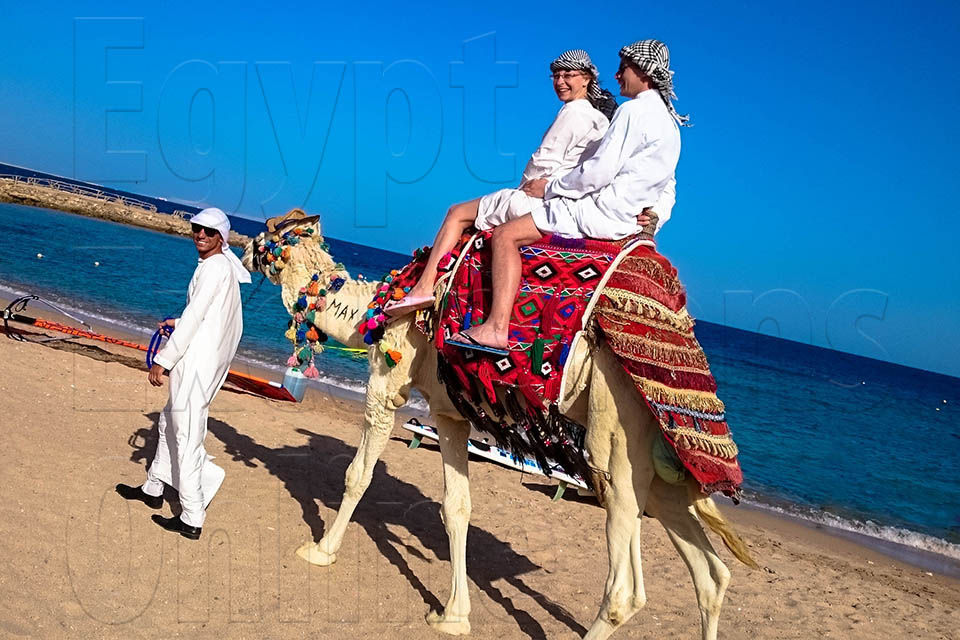 Hurghada 2-Hour Camel Ride Tour