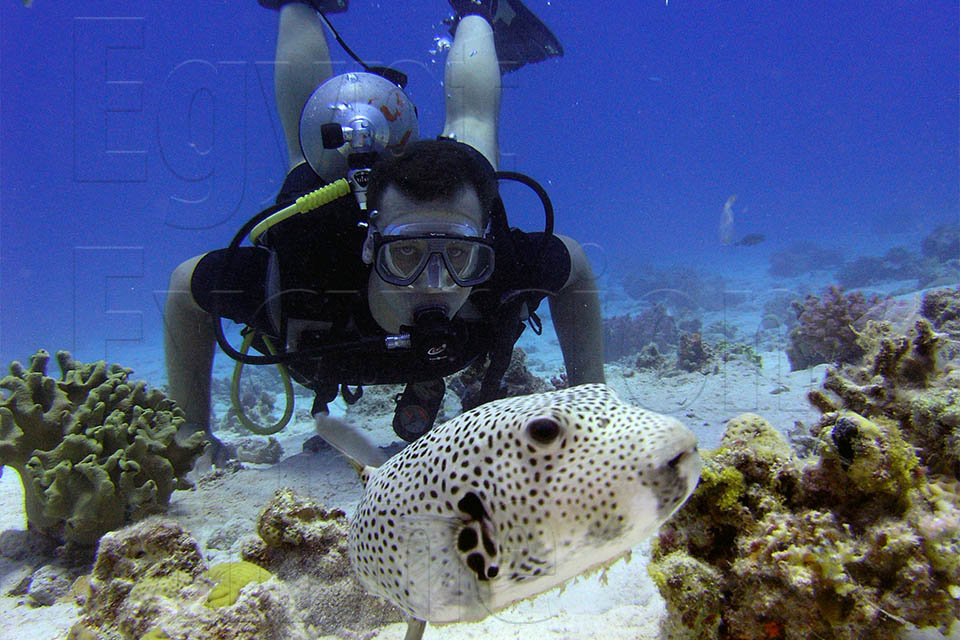 Hurghada Snorkeling Trip in Giftun Island