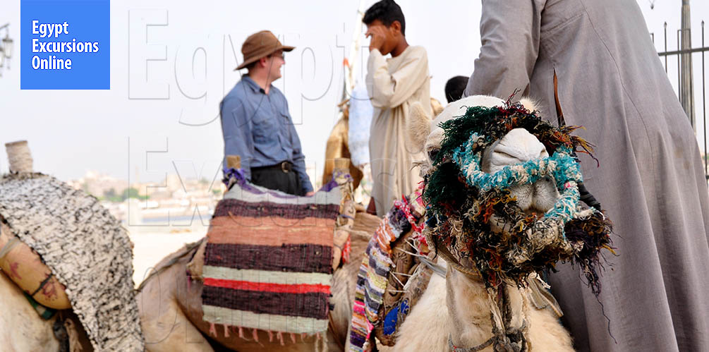 Luxor Camel Ride Tour