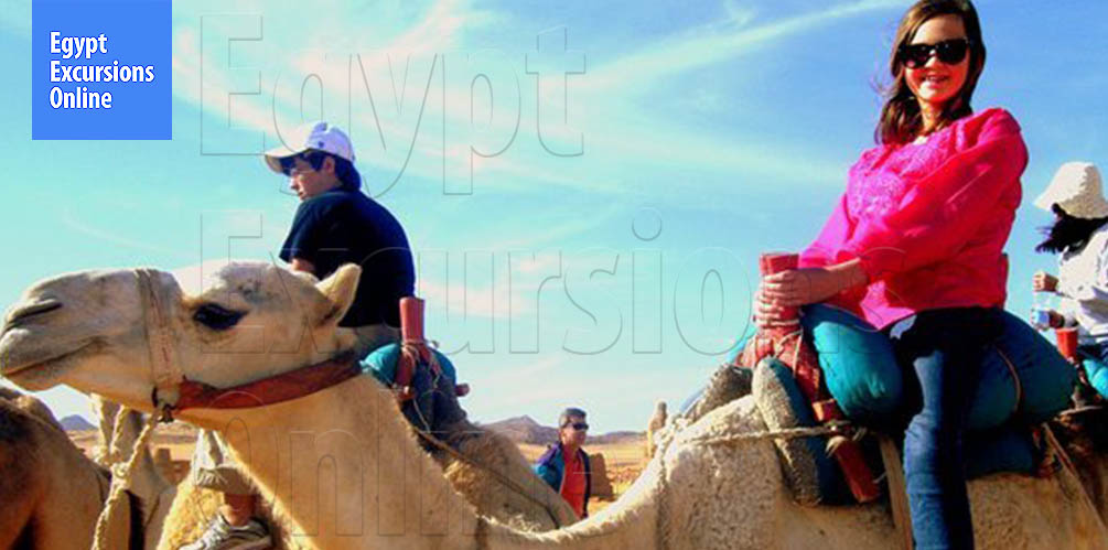 Luxor Camel Ride Tour