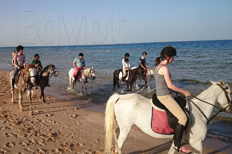 Makadi Bay Horse Ride Tour