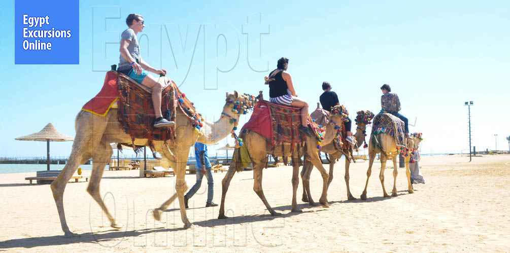 Makadi Bay Camel Ride Tour
