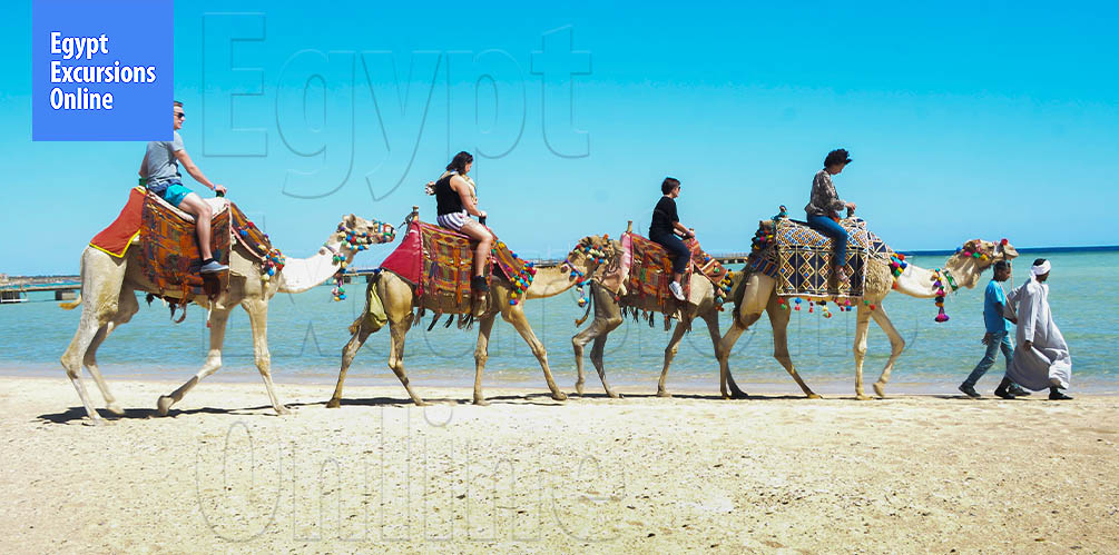 Makadi Bay Camel Ride Tour