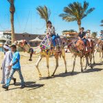 🐪 Camel Trekking in Sinai: Traverse Egypt’s Timeless Trails 16 Camel Ride Tour Makadi Bay
