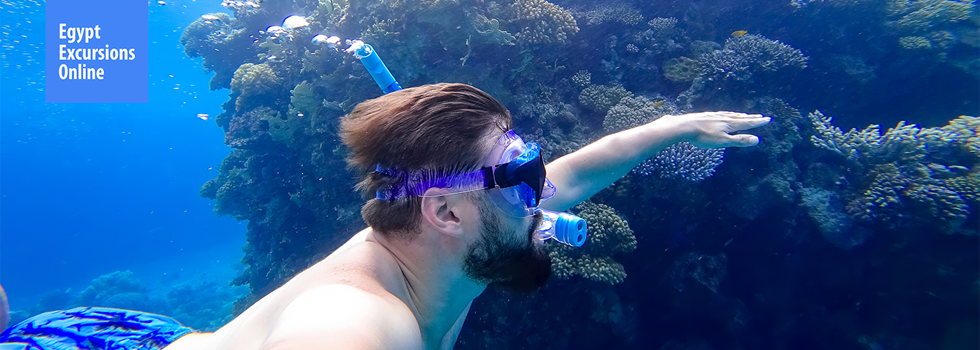 Novamber Blog Posts Visual5