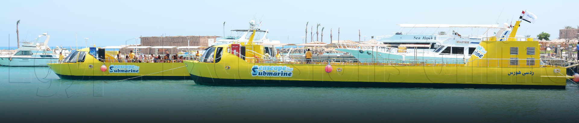 Semi Submarine excursion Sharm El Sheikh