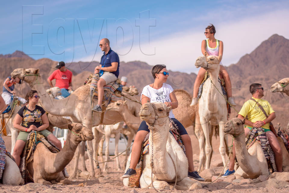 Coloured Canyon And Dahab Safari Trip from Sharm El Sheikh