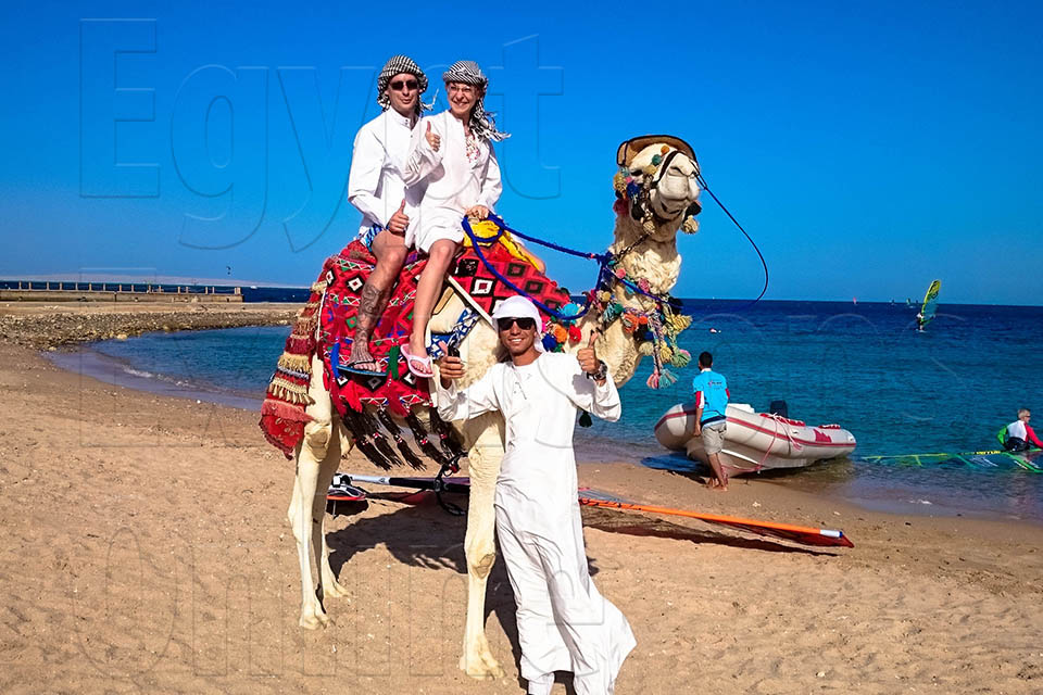 Sharm El Sheikh Camel Ride and Bedouin Dinner tour