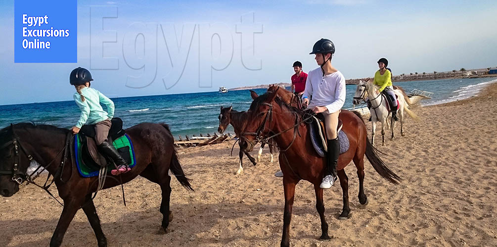Sharm El Sheikh Horse Riding Safari Trip