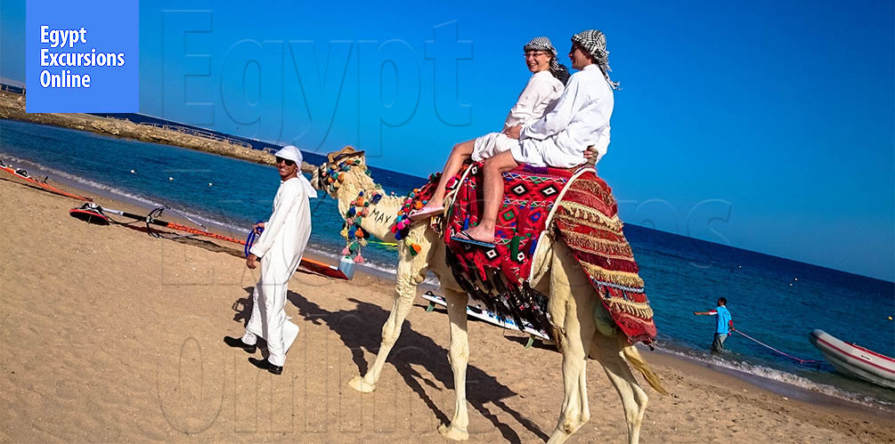 Camel Riding Safari Tour Sharm El Sheikh