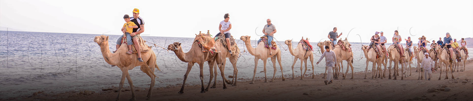 Camel Riding Safari Tour Sharm El Sheikh