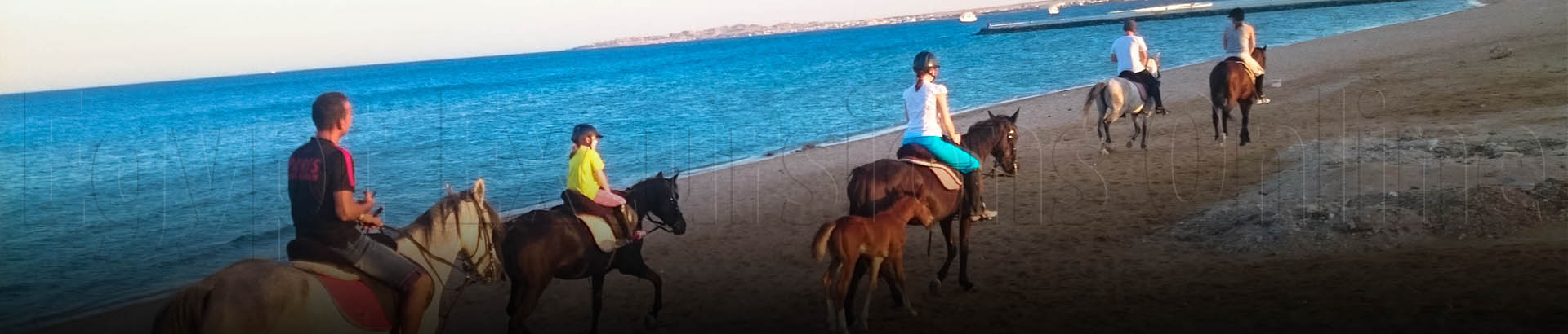 Hurghada Horse Rides