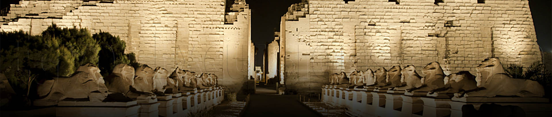 Luxor Private Tours