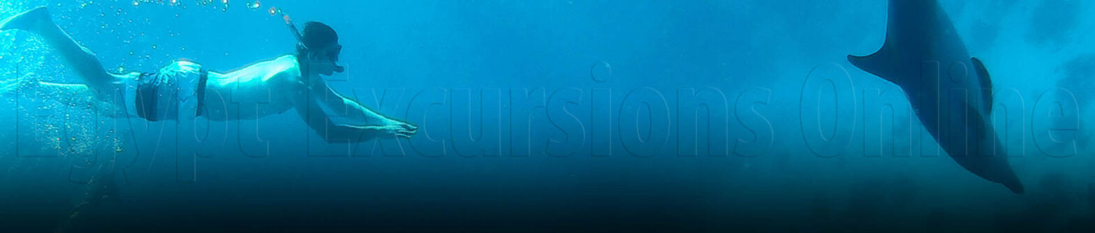 Makadi Bay Snorkeling