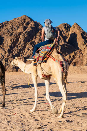 Sharm el sheikh Excursions